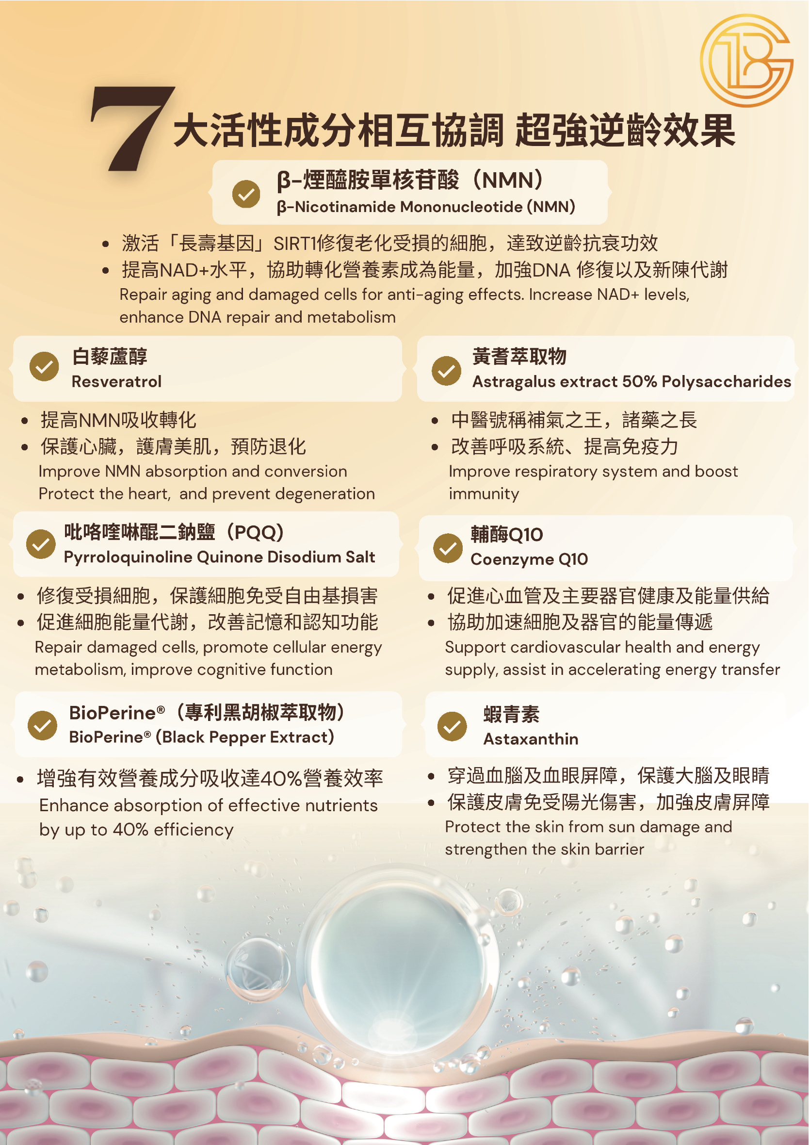 NMN 7-IN-1 Ultimate Formula information 2