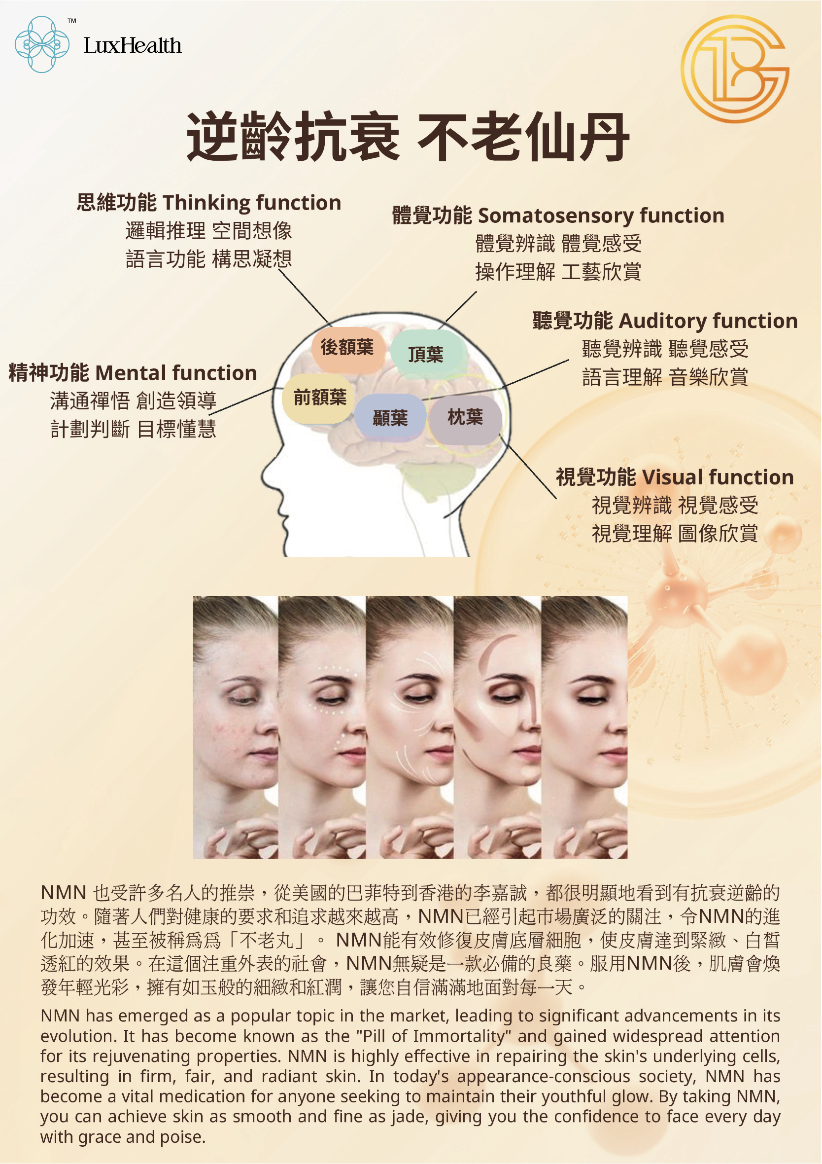 NMN 7-IN-1 Ultimate Formula information 3