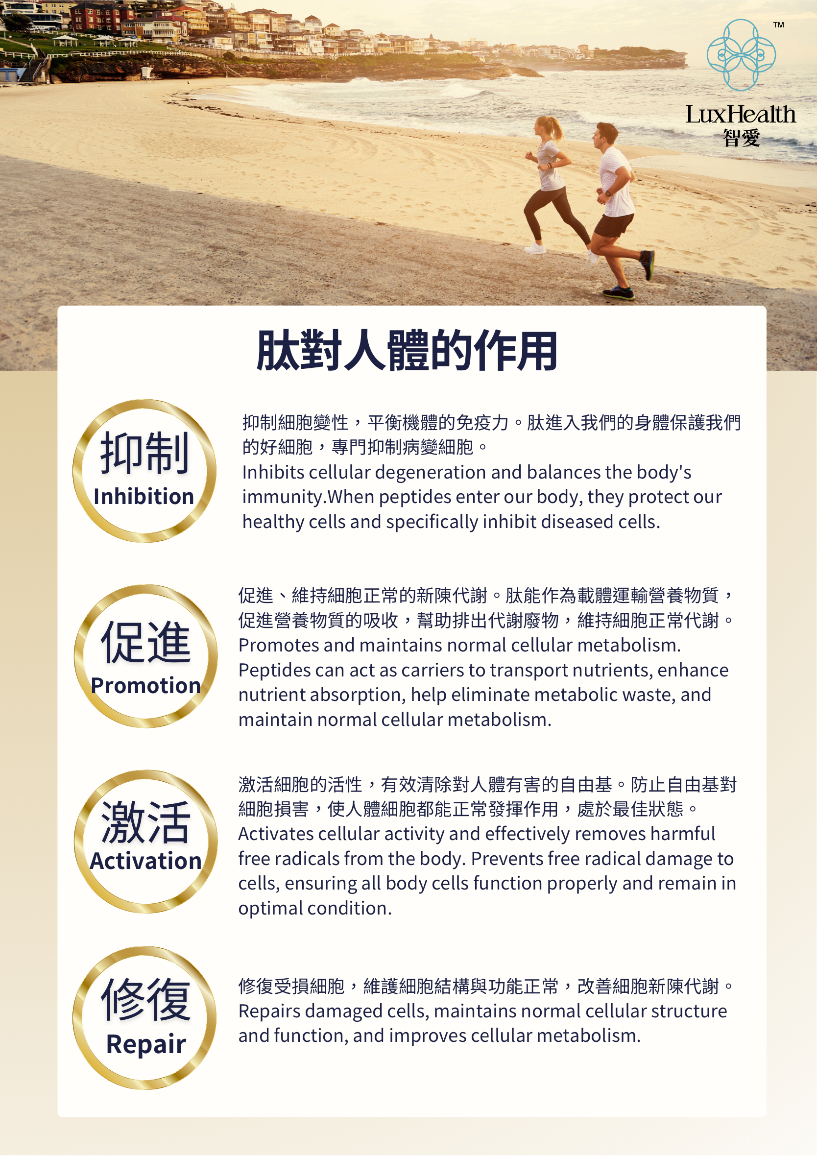 Marine Fish Collagen Oligopeptide Powder information 4