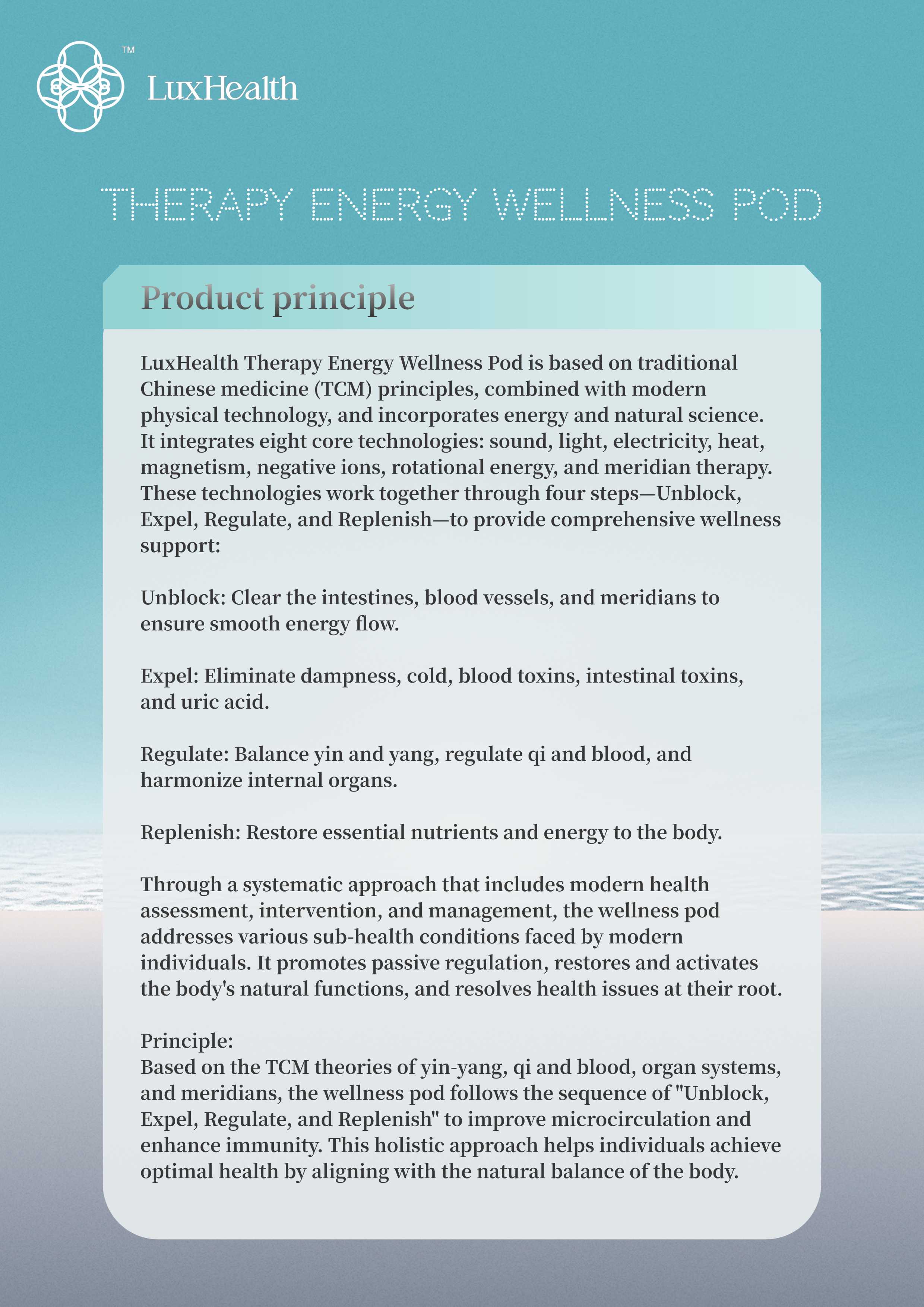 Therapy Energy Wellness Pod Session information 3