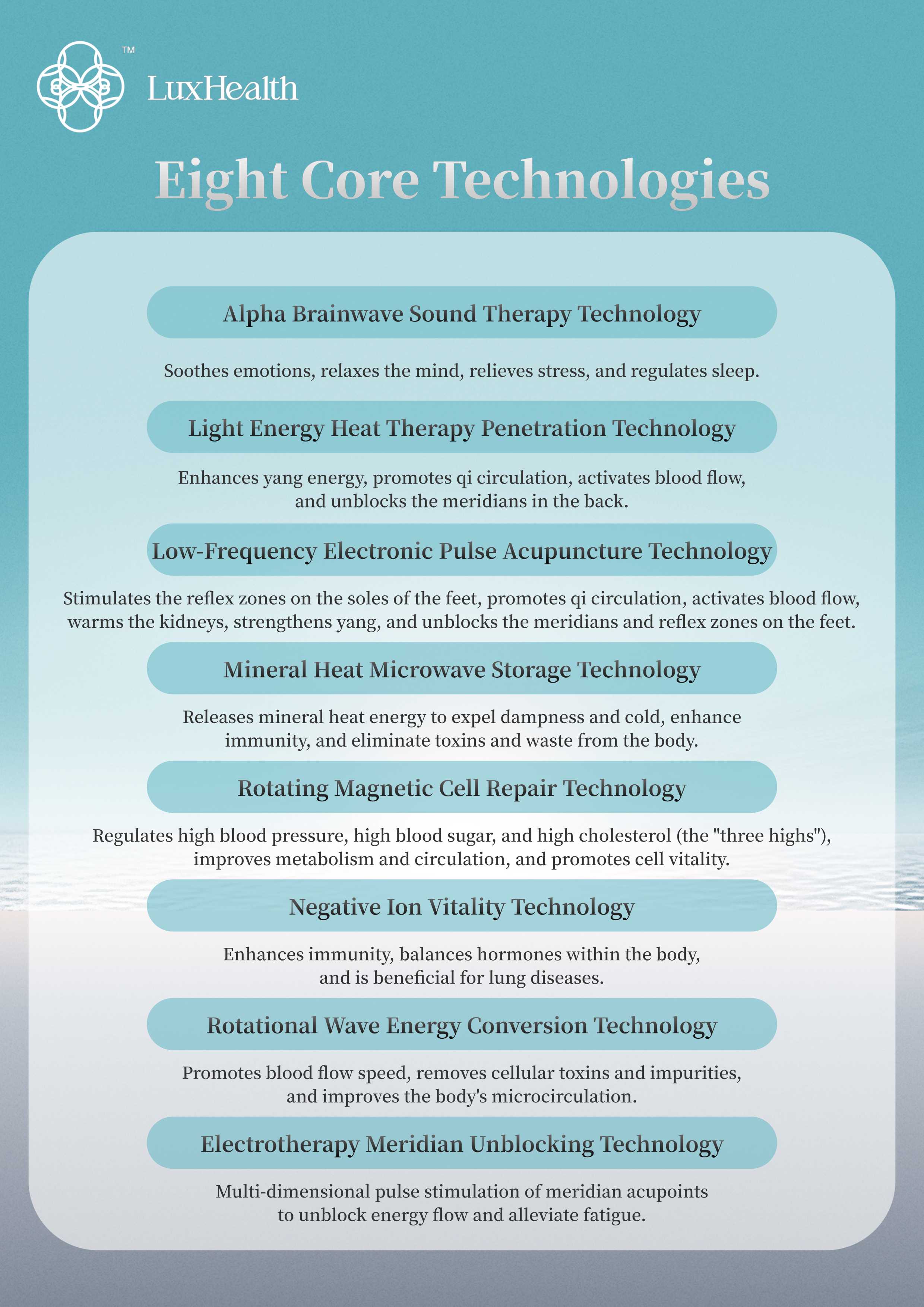Therapy Energy Wellness Pod Session information 5
