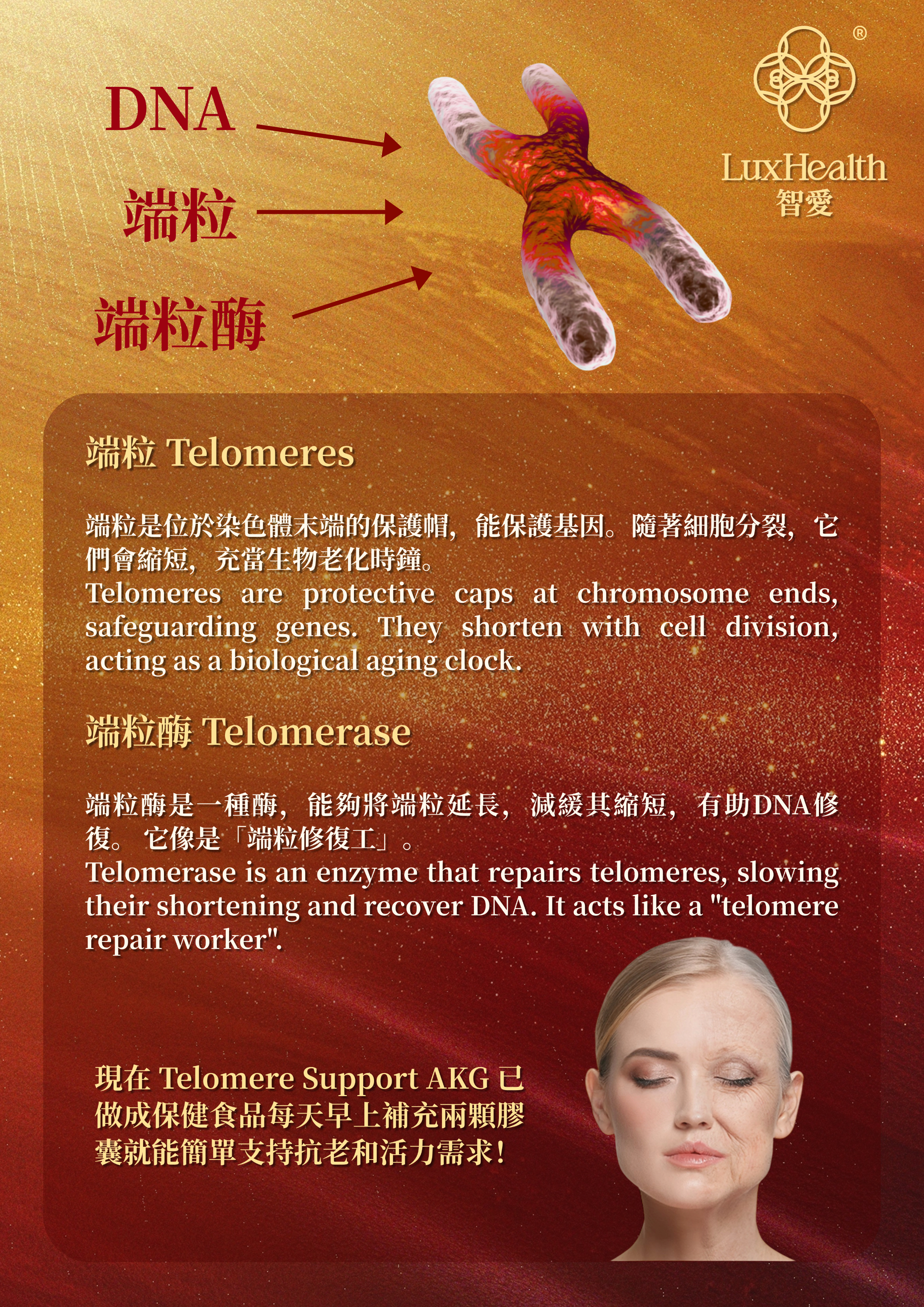 Telomere Support AKG Calcium 7-in-1 Formula information 2