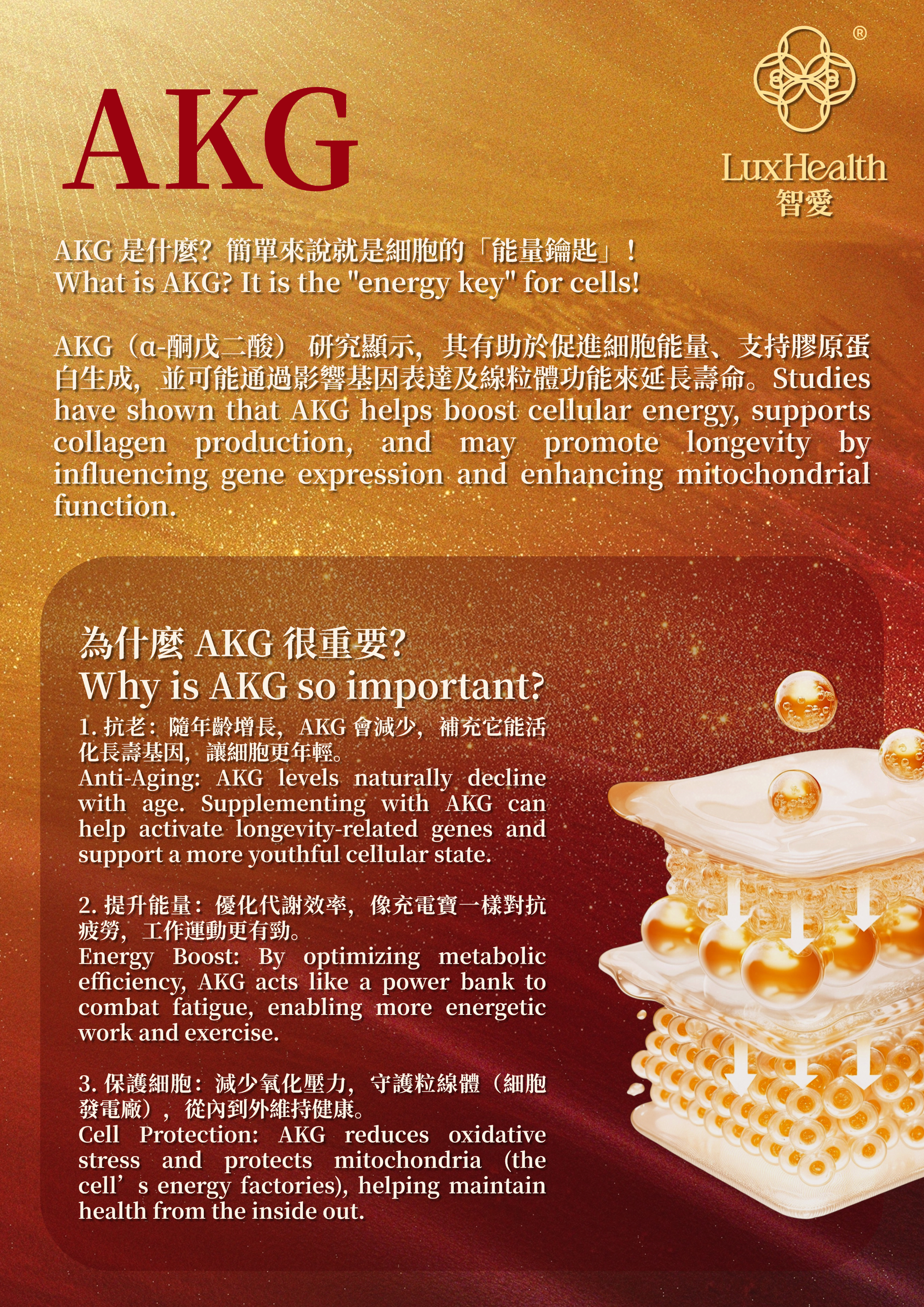 Telomere Support AKG Calcium 7-in-1 Formula information 3